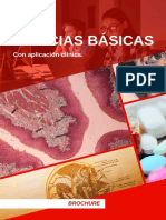 Brochure CienciasBasicas2019