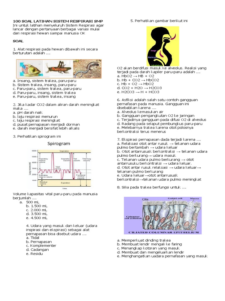 100 Soal Latihan Sistem Respirasi Smp Kls 8 Pdf