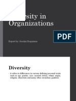 Diversity in Organization