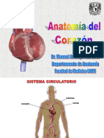 Anatomia de Corazón