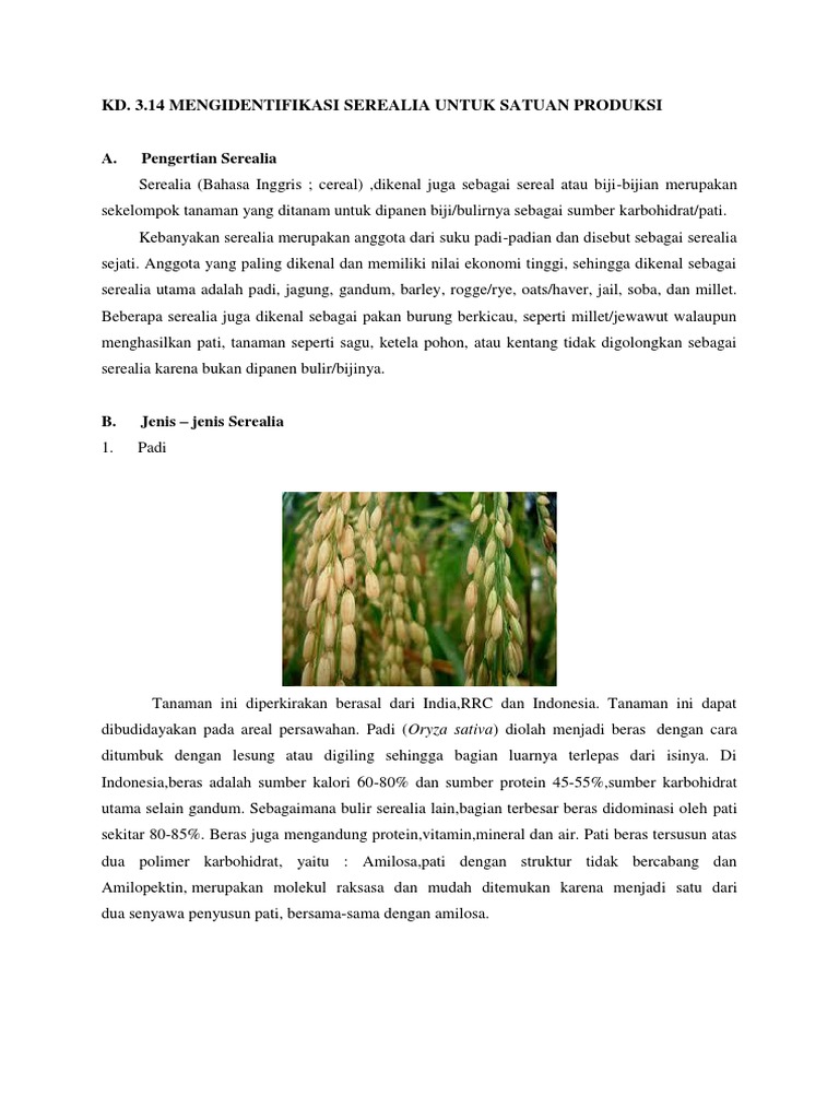 Materi Phn Serealia