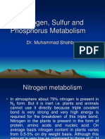  Nitrogen Sulfur and Phosphorus Metabolism