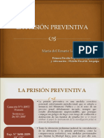 3533_prision_preventiva_maria_lozada.pdf