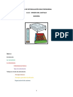 Dosier Aula de Estimulacion Multisensorial Cee Virgen Del Castillo PDF