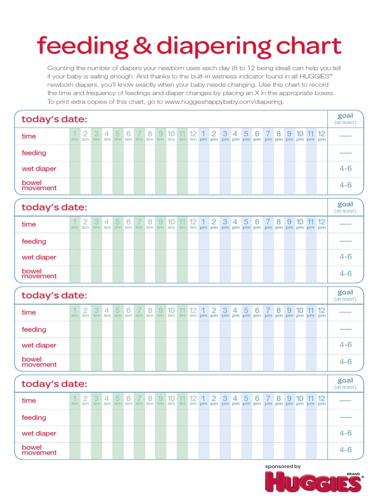 Feeding and Diapering Chart PDF PDF Excretion