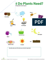 Plants PDF