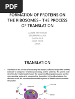 The Process of Translation