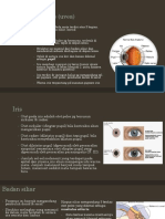 Uvea, Retina, Choroid, Nervus Optikus