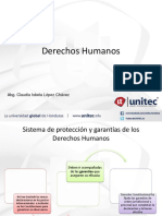 Semana 3 Sistemas de Proteccion Domestico de Los DDHH