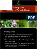 Macrophytes: Ecology of Aquatic Plants