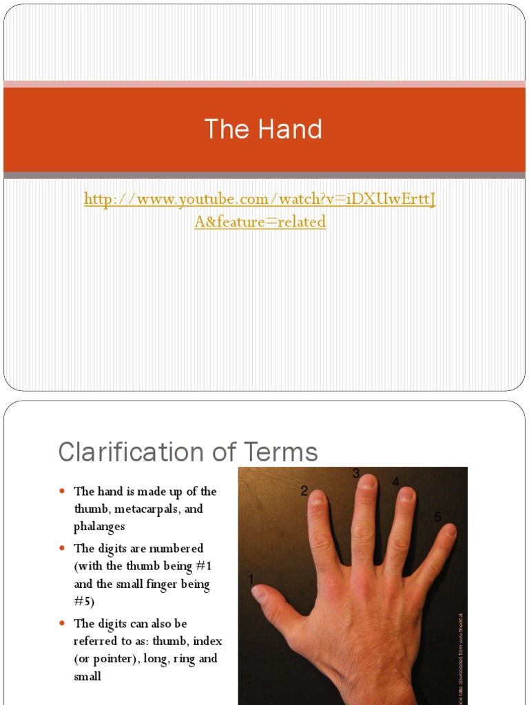 TheHandbig PDF | PDF | Thumb | Hand
