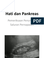 Hati dan Pankreas.pptx