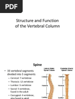 Structure and Function of The Vertebral Column