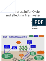 Phosphorus, Sulfur Cycle and Effects in Freshwater
