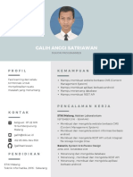 Contoh Curriculum Vitae