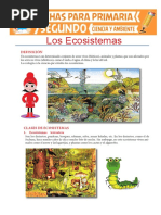 Ecosistemas