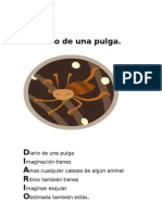 Diario de Una Pulga