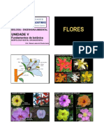 Botanica3ea PDF