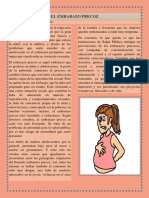 El Embarazo Precoz PDF