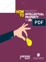 Howto Protect Intellectal Property in Brazil