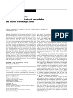 Timing and Process of Entry of Zooxanthellae Into Oocytes of Hermatypic Corals