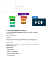 Clasificación de Los Animales Según Su Alimentación