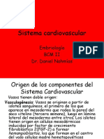 Sistema Cardiovascular I