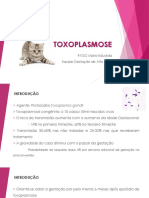 TOXOPLASMOSE - GHC (RS)