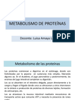 Metabolismo Proteínas-Est