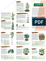 11 verduras triptico.pdf