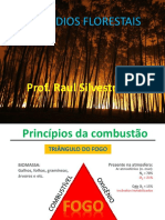 Aula 1 - Princípios Da Combustão