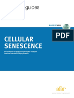 Aging Guides: Cellular Senescence