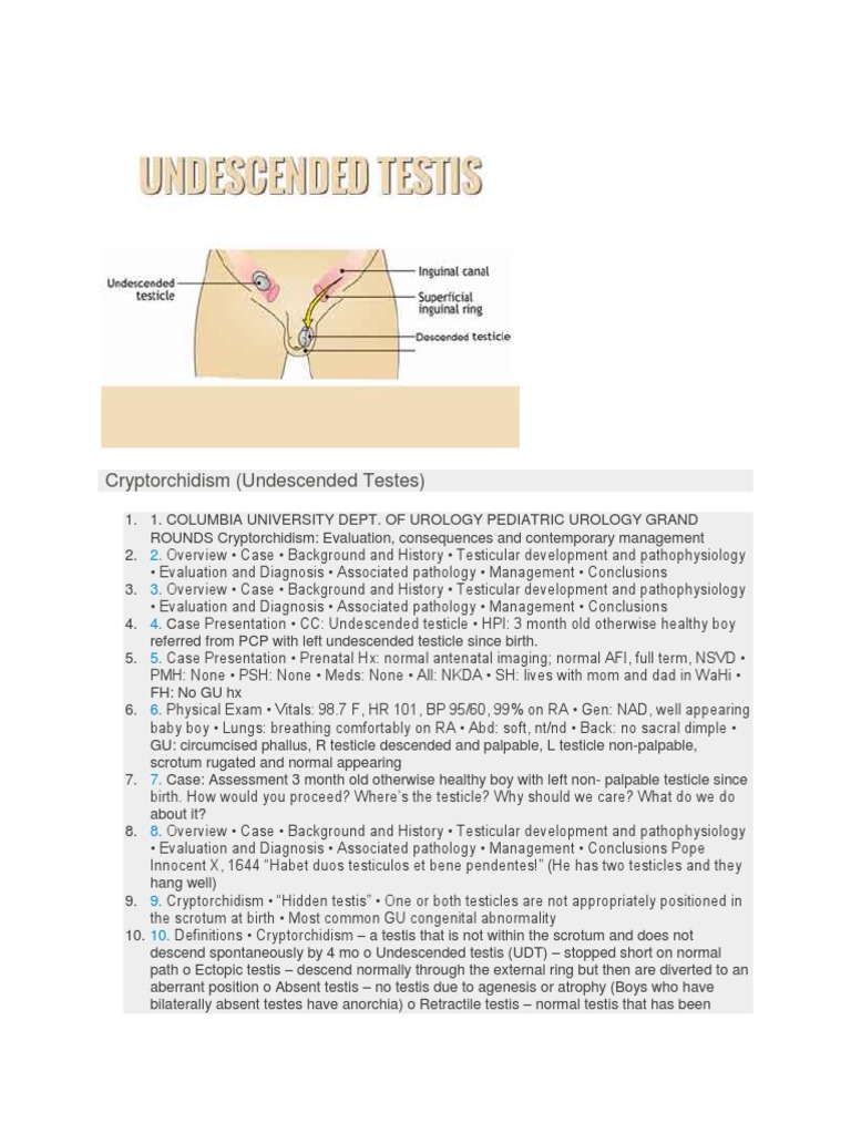 Cryptorchidism (Undescended Testes) | PDF | Testicle | Medical Specialties