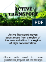 7 - Active-Bulk Transport