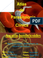 PARASITOLOGIA atlas de parasitologia clnica II.pdf