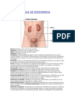 terminologías.pdf
