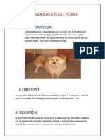 FORMOLIZACION DEL PERRO.docx