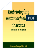04.metamorfosis agr-zootec.pdf