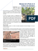08. Poda en Arandanos.pdf