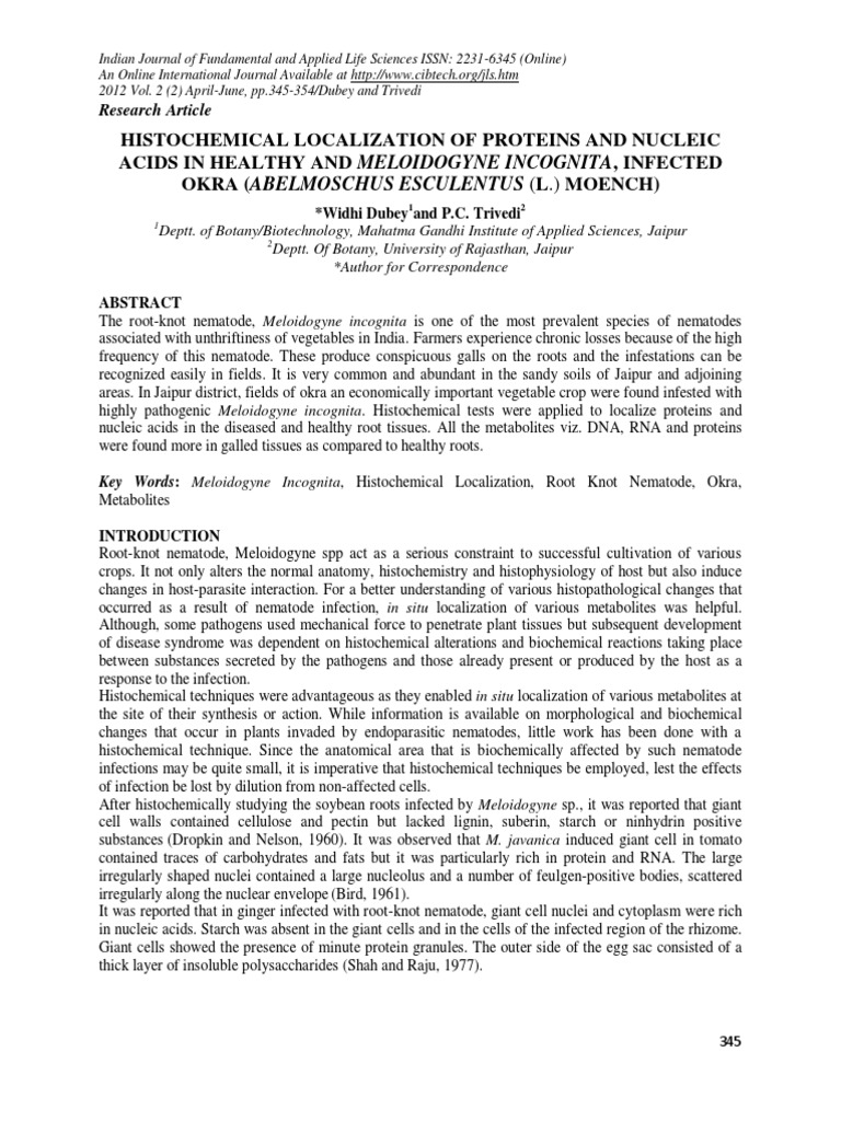 54-Widhi Histochemical Acids | Download Free PDF | Cell Nucleus | Staining