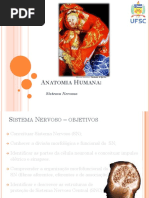 Sistema Nervoso Reduzido PDF Aula