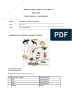 Tugas MK PDGK 4107 Praktikum Ipa Di SD Tema Ekosistem Darat Dan Perairan Serta Pengaruh Deterjen