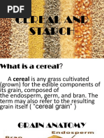 Cereals and Starch