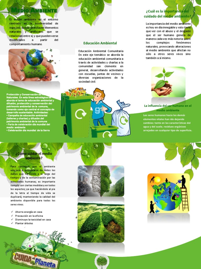 Triptico Del Dia Mundial Del Medio Ambiente | PDF | Entorno natural ...
