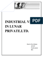 Industrial Visit in Lunar Private (Sivya)