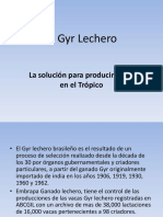 El Gyr Lechero Camoapa 2011
