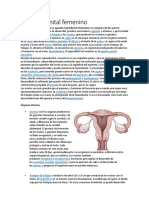 Aparato genital femenino.docx