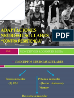 ADANEUROMUSCUENTRERESITE