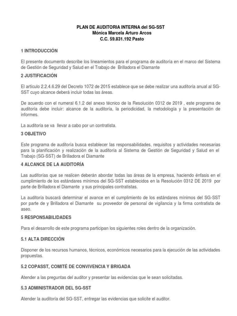 Taller Plan de Auditoria Interna | PDF | Auditoría | Contralor