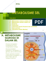 Metabolisme Sel